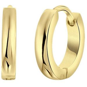 Lucardi Heren Goldplated Oorringen 2,5mm - Oorbellen - Cadeau - Staal - Goudkleurig