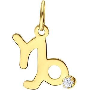 Lucardi - Sterrenbeeld Hanger - Zirkonia - Goudkleurig - 9 Karaat