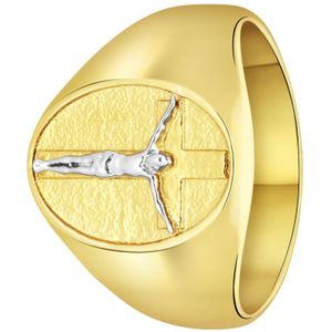 Stalen goldplated herenzegelring