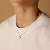 Lucardi - Kinder Stalen Ketting met Hanger Dino - Ketting - Zilverkleurig - Staal