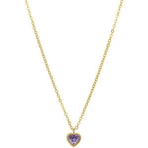 Stalen goldplated ketting vintage paars hart voor dames