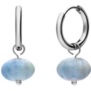 Lucardi Dames Stalen oorringen met pompoen - Oorbellen - Staal - Zilver