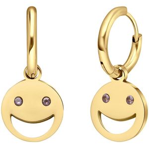 Stalen goldplated oorringen met zirkonia voor dames