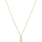 Lucardi - Dames Stalen Goldplated Ketting - Ketting - Goudkleurig - Staal - 47 cm