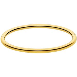 Lucardi Dames Stalen goldplated bangle - Armband - Staal - Goud - 58 dm