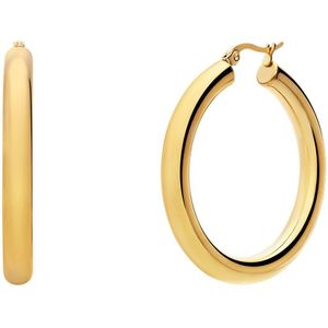 Lucardi Dames Stalen goldplated oorbellen glad - Oorbellen - Staal - Goudkleurig
