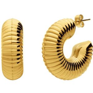 Lucardi - Dames Oorbellen - Goudkleurig - Staal