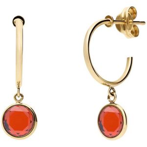 Lucardi - Oorbellen - Goud - 14 Karaat - Tijdloos Design