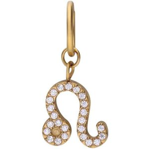 Stalen goldplated bedel leeuw