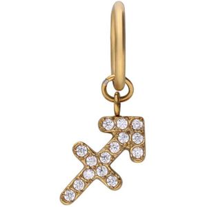 Stalen goldplated bedel boogschutter