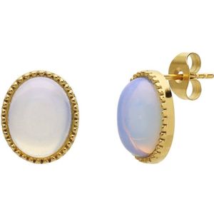 Stalen goldplated oorbellen met opaal