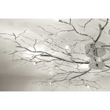 Lumidora Plafondlamp 70465 Plafonniere VARANASI 10 Lichts G9 Chroom Metaal ⌀ 100