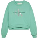 Calvin Klein - Sweater - Groen