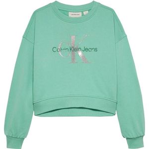 Calvin Klein - Sweater - Groen