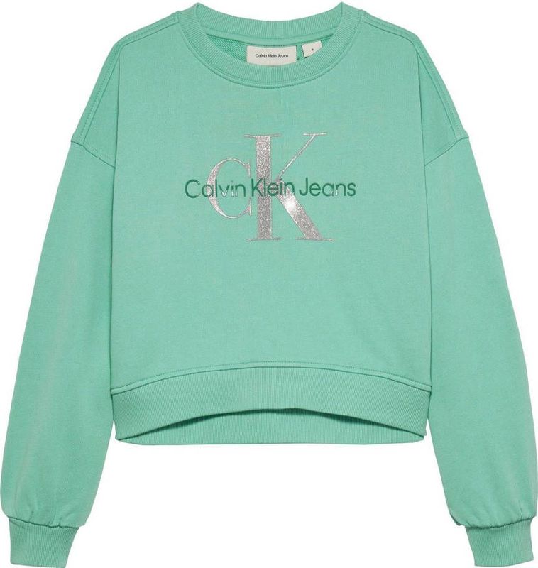 Calvin Klein - Sweater - Groen