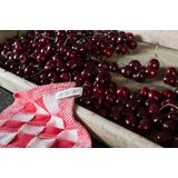 Knit Factory - Grote Blok - Pannenlap - Ecru/Oker - 23x23 cm