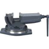 vidaXL-Bankschroef-met-2-assen-kantelbaar-160-mm