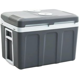 VidaXL-Koelbox-thermo-elektrisch-draagbaar-12-V-230-V-E-40-L