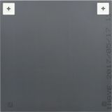 vidaXL Wandspiegel 2 Stk. 50x50 cm Quadratisch Glas