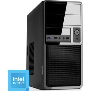 Intel Desktop PC met 16GB RAM - 960GB SSD - WiFi - Bluetooth - Windows 11 Pro (DT-373671)