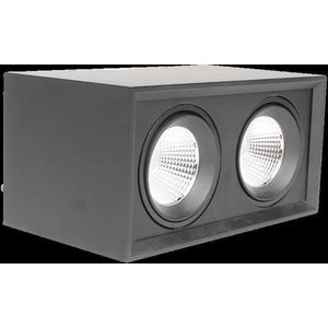 Strakke dubbele Opbouwspot-2x20W-2700K-zwart
