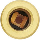 Pro Plus Inbouwdoos - DIN - 12 Volt - Messing - Ø 18 mm