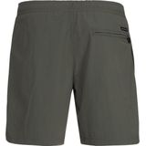 Protest FAST – Zwembroek Heren – Grey Green