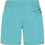 Protest - Culture - Zwembroek - Blauw - 14 inch - Waterafstotend