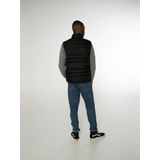 Protest - BRAMTOON - Bodywarmer - Zwart