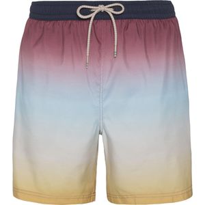 Protest Youenn Zwembroek