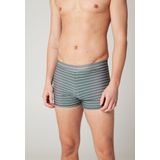 Protest - Claude - Zwembroek - Groen