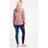 Protest - PRTHESTIA - Softshelljack - Gewatteerd - Slim Fit - PFC-vrij