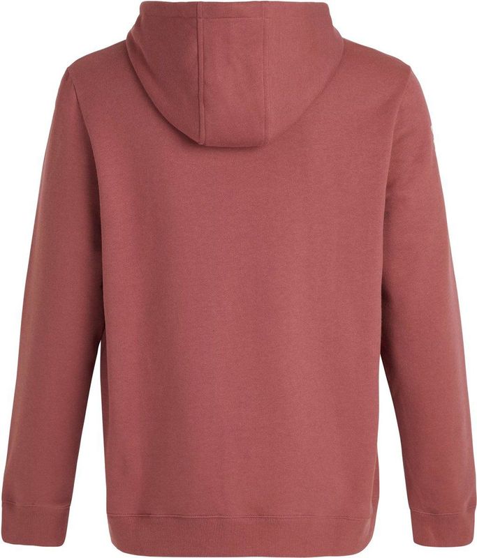 Protest - Classic Logo Hoody - Hoodie - Heren