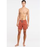 Protest Zwemshort Faster Brique