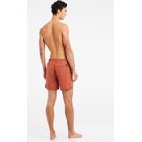 Protest Zwemshort Faster Brique