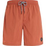 Protest Zwemshort Faster Brique