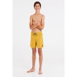 Protest - Culture JR - Zwemshort - Blauw - Polyester