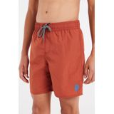 Protest - Culture - Zwemboxer - Bruin - 100% Polyamide - Elastische Tailleband Met Trekkoordje