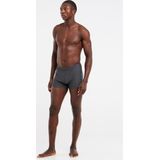 Protest - Carst - Zwembroek - Blauw - Heren