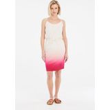 Protest Ametrien Rok