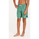 Protest - Prtbitmap Jr - Zwembroek - Blauw - 100% Polyester