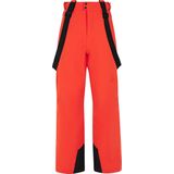 Protest PRTROWENS Heren Ski- En Snowboardbroeken