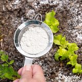Terra de Diatomáceas - 100% Pura - Pó Ultrafino (Saco de 25 litros - 10 kg)
