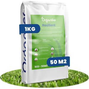 Speelgazon Graszaad - Resilient - Groen - Professioneel Mengsel