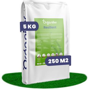 Herstelgazon Graszaad – Resilient (5 kg voor 250 m2)