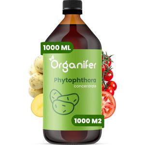 Phytophthora Concentraat 1L - Voor 1000m2 - Aardappelziekte Bestrijding - Voorkomt en geneest Aardappelplanten en Tomatenplanten - Organifer