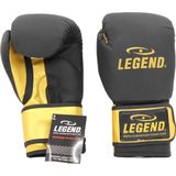 Legend Sports Bokshandschoenen Legenddry & Protect Zwart/goud Mt 10oz