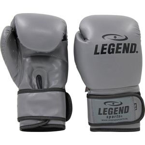 Legend Bokshandschoenen LegendClima & Protect Grijs Maten: 8oz