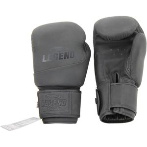 Legend Sports Thai serie 2.0 bokshandschoenen heren/dames mat leer