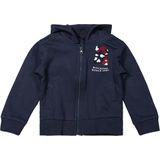 Dirkje - Vest - Blauw - Gebreid